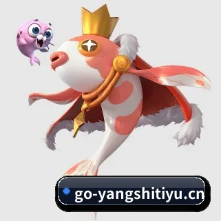 央视体育 APP（cctv）